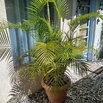 Lindo Apto à pé da praias! Jacuzzi externa, wi-fi fibra